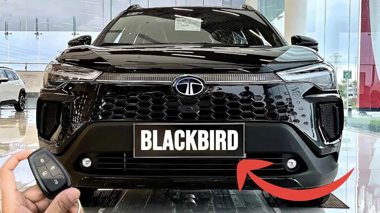 Tata Blackbird